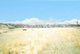 Photo - 1304 Marked Tree Road, Hamilton TAS 7140 - Image 5