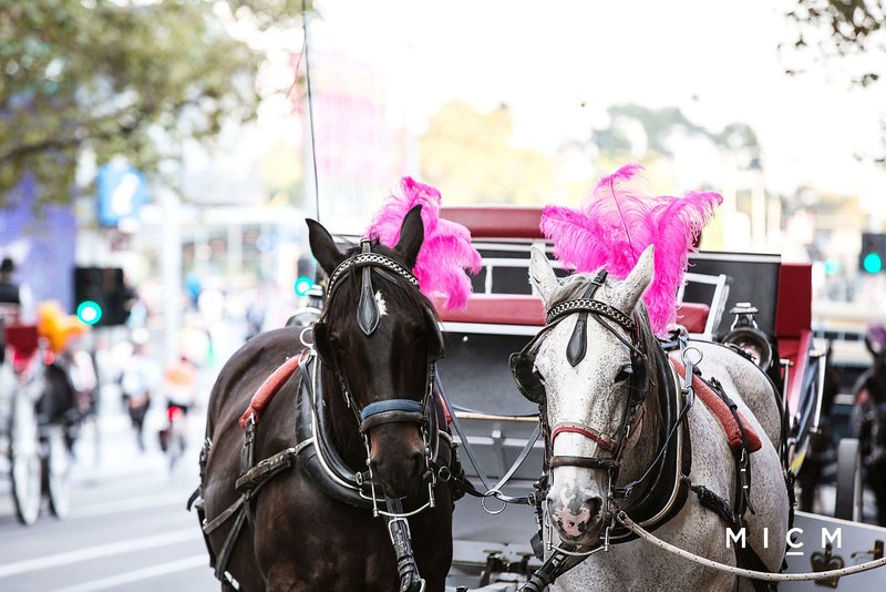 Photo - 1304/68 La Trobe Street, Melbourne VIC 3000 - Image 20