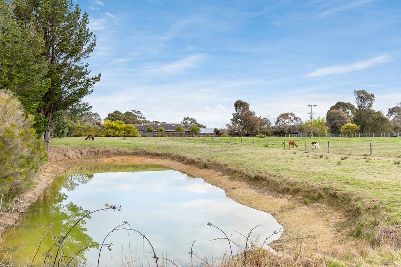 Photo - 131 Bungower Road, Somerville VIC 3912 - Image 8