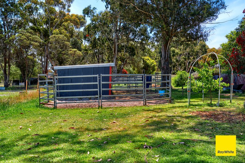 Photo - 131 Hassell Street, Mount Barker WA 6324 - Image 4