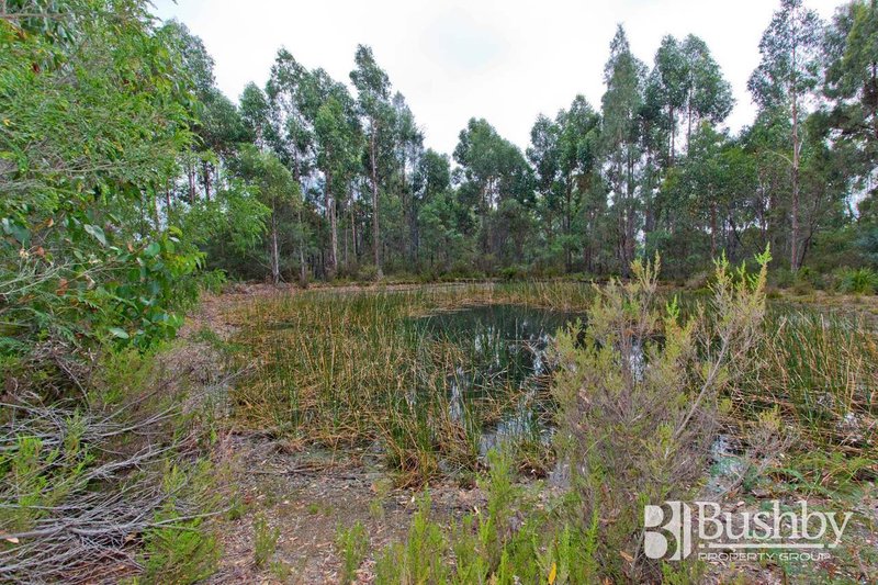 Photo - 131 Jay Dee Road, Glengarry TAS 7275 - Image 6