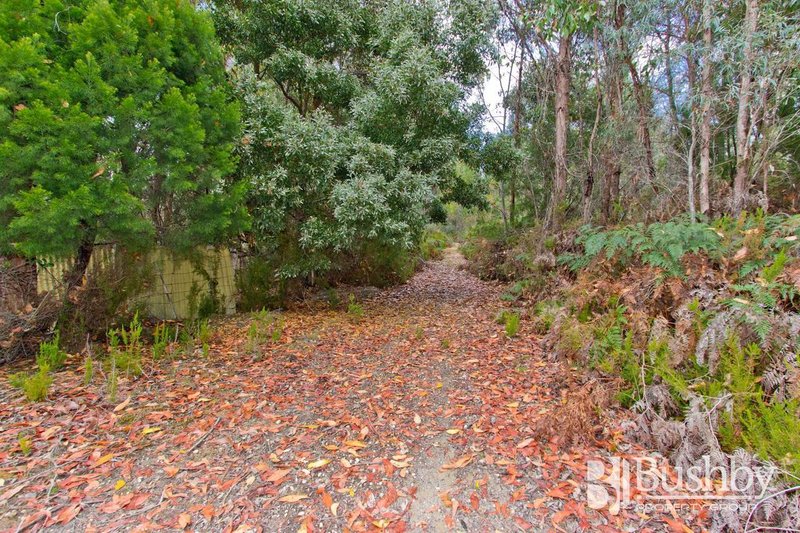 Photo - 131 Jay Dee Road, Glengarry TAS 7275 - Image 8