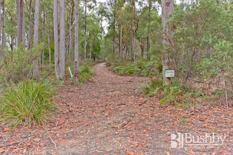 Photo - 131 Jay Dee Road, Glengarry TAS 7275 - Image 10