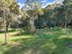 Photo - 131 Kilaben Road, Kilaben Bay NSW 2283 - Image 15