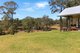 Photo - 131 Viney Creek Road West , Tea Gardens NSW 2324 - Image 3