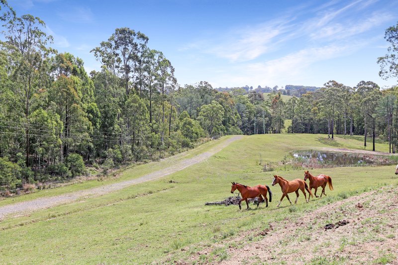 Photo - 131 Viney Creek Road West , Tea Gardens NSW 2324 - Image 4