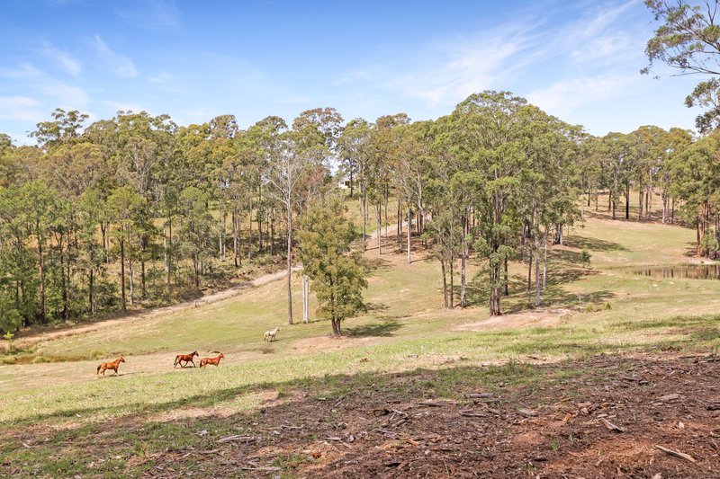 Photo - 131 Viney Creek Road West , Tea Gardens NSW 2324 - Image 9