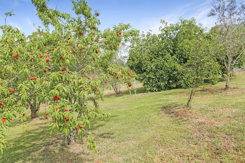 Photo - 131 Viney Creek Road West , Tea Gardens NSW 2324 - Image 30