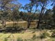 Photo - 131 Warrumba Road, Cowra NSW 2794 - Image 2