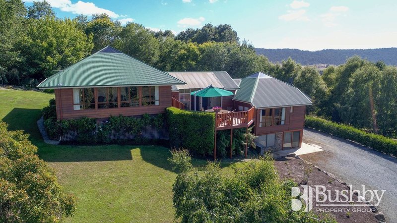 131 Windermere Road, Windermere TAS 7252