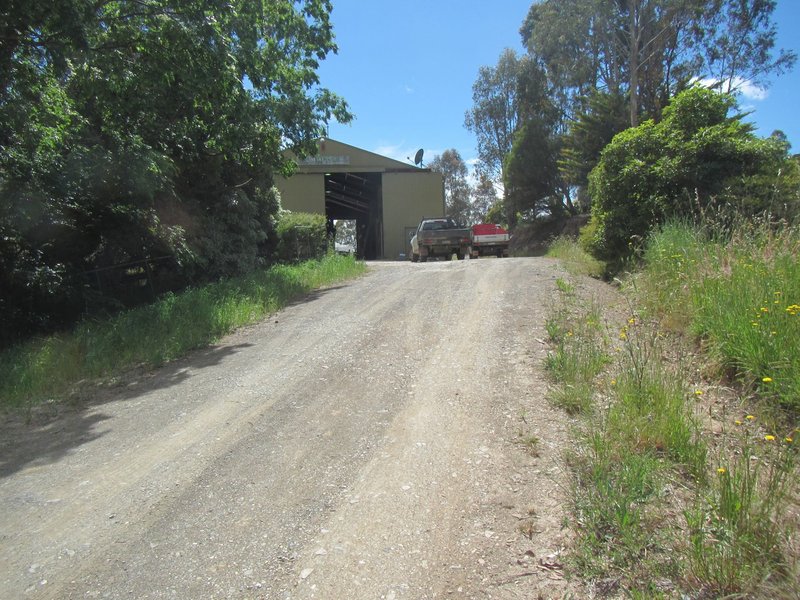 Photo - 1310 Whanregarwen Rd , Molesworth VIC 3718 - Image 6