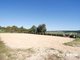 Photo - 1313 Old Bull Creek Road, Meadows SA 5201 - Image 15