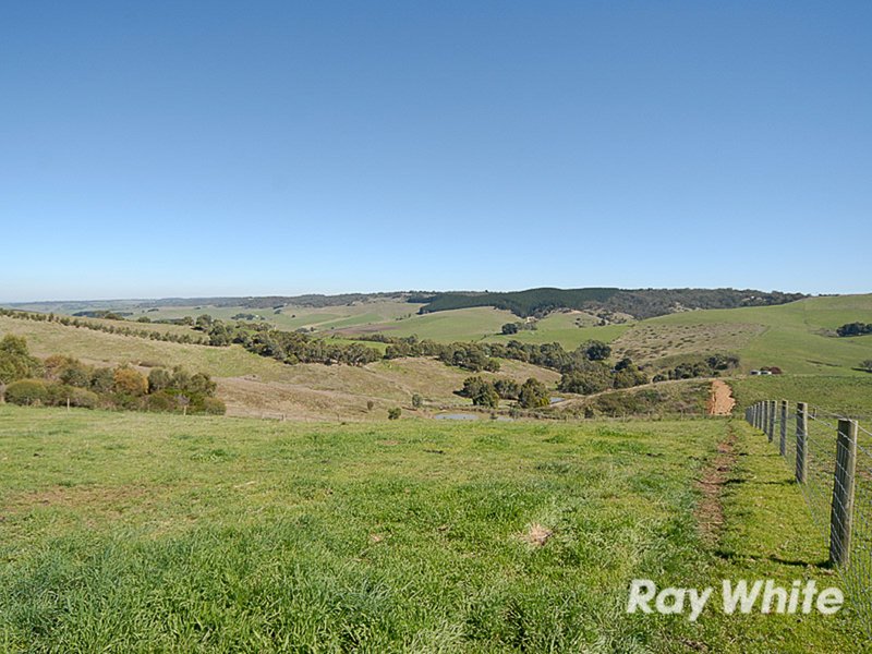 Photo - 1313 Old Bull Creek Road, Meadows SA 5201 - Image 16