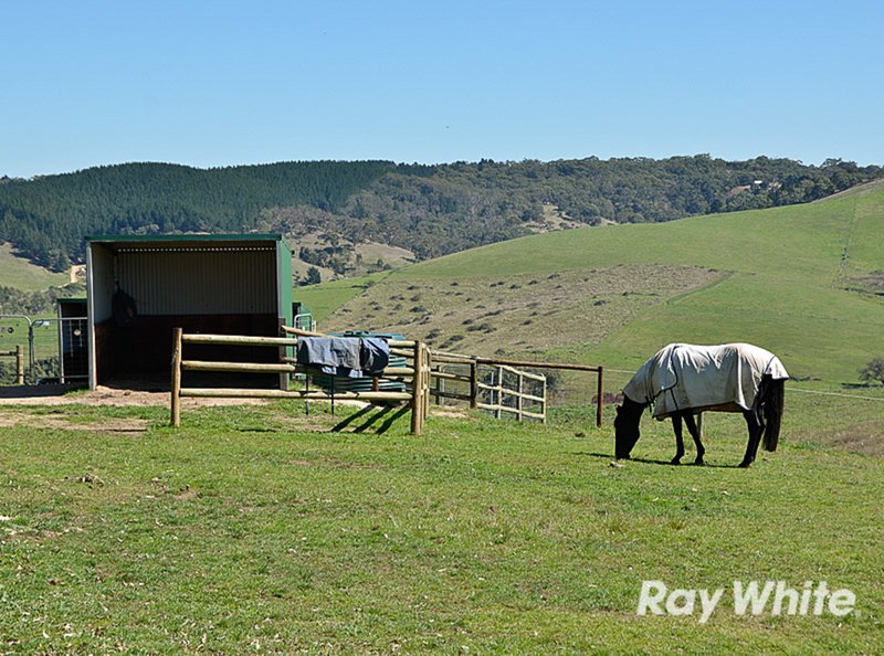 Photo - 1313 Old Bull Creek Road, Meadows SA 5201 - Image 17