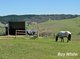 Photo - 1313 Old Bull Creek Road, Meadows SA 5201 - Image 17