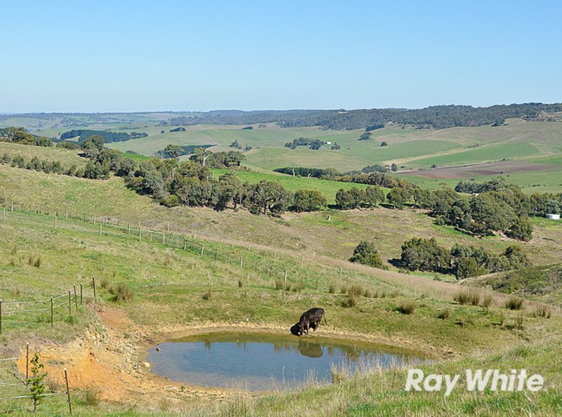 Photo - 1313 Old Bull Creek Road, Meadows SA 5201 - Image 18