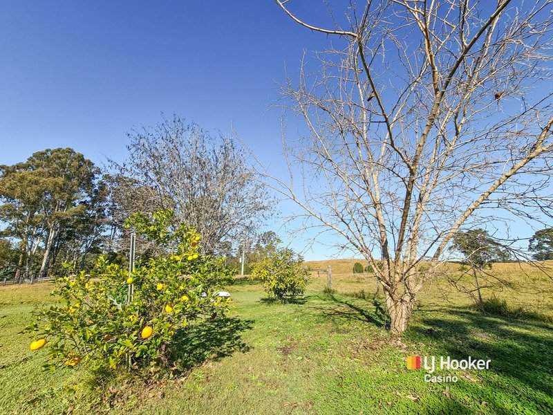 Photo - 13151 Clarence Way, Bottle Creek NSW 2469 - Image 20