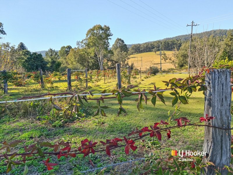 Photo - 13151 Clarence Way, Bottle Creek NSW 2469 - Image 23