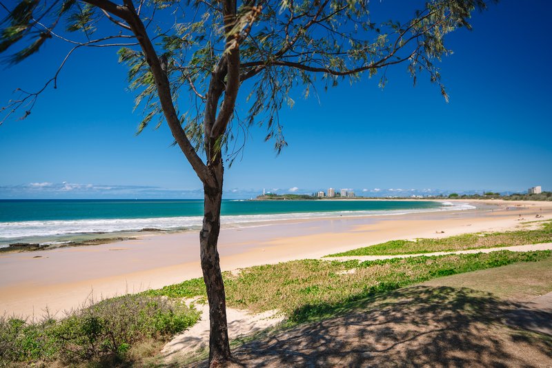 Photo - 1/32-34 Camfield Street, Alexandra Headland QLD 4572 - Image 17