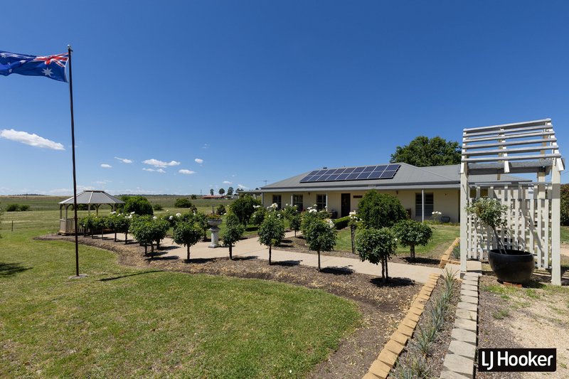 Photo - 132 Brosnans Lane, Inverell NSW 2360 - Image 22