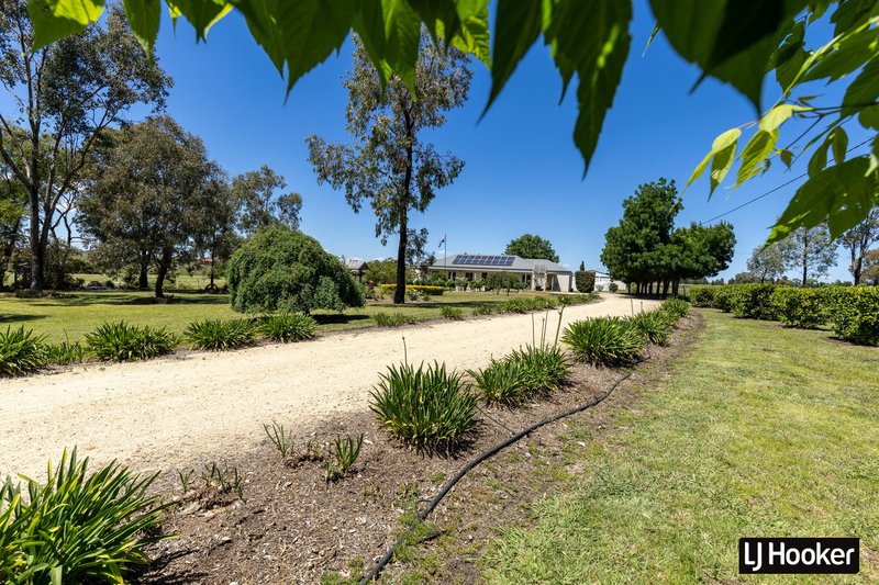 Photo - 132 Brosnans Lane, Inverell NSW 2360 - Image 23