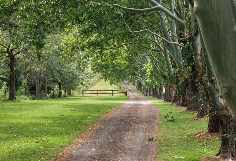 Photo - 132 Currey Road, Wongawallan QLD 4210 - Image 31