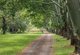Photo - 132 Currey Road, Wongawallan QLD 4210 - Image 31