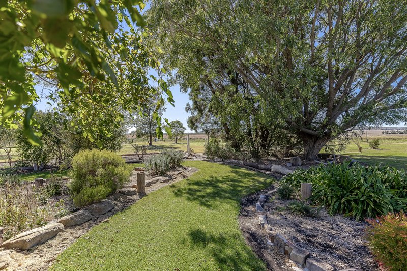 Photo - 132 Lack Road, Back Plains QLD 4361 - Image 18