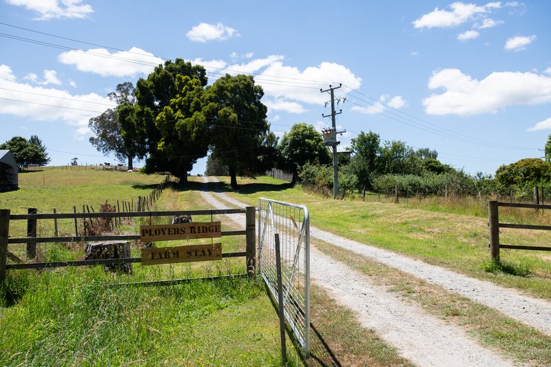 Photo - 132 Lalla Road, Lilydale TAS 7268 - Image 30