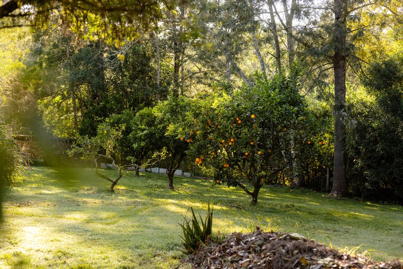 Photo - 132 Little Run Road, Wherrol Flat NSW 2429 - Image 15