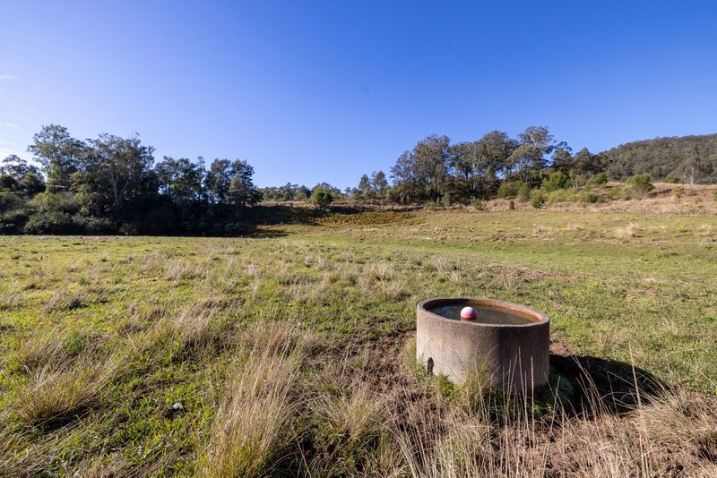 Photo - 132 Little Run Road, Wherrol Flat NSW 2429 - Image 17