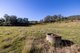 Photo - 132 Little Run Road, Wherrol Flat NSW 2429 - Image 17