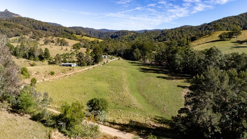 Photo - 132 Little Run Road, Wherrol Flat NSW 2429 - Image 18