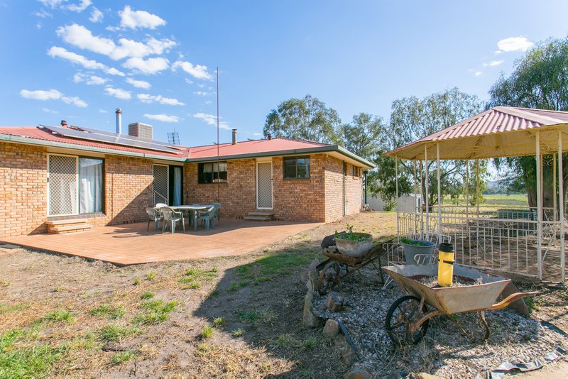 Photo - 132 Magnesite Road, Tamworth NSW 2340 - Image 6