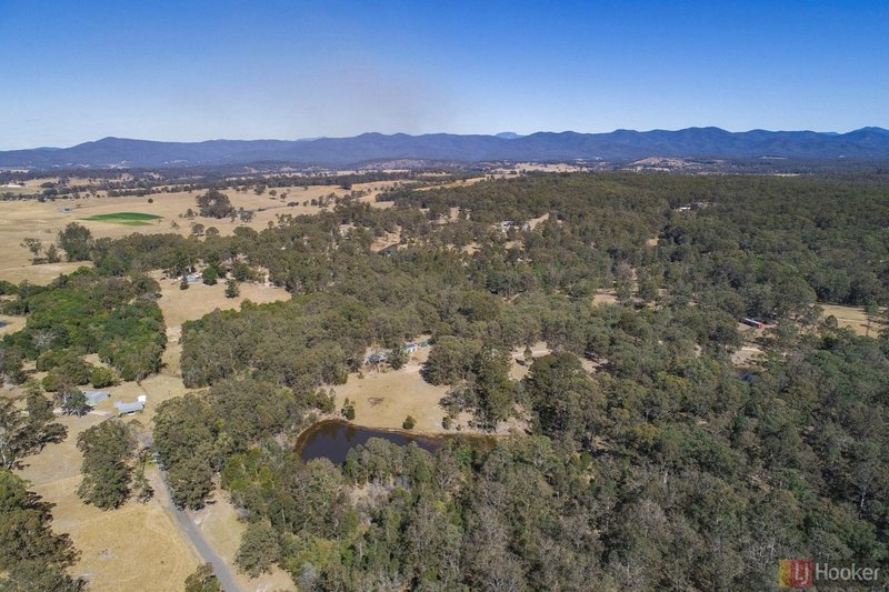 Photo - 1321 Armidale Road, Deep Creek NSW 2440 - Image 16