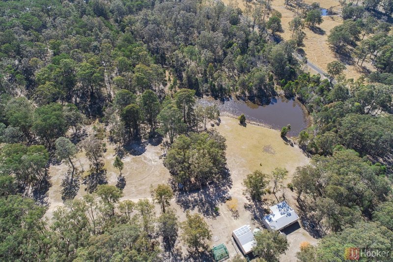 Photo - 1321 Armidale Road, Deep Creek NSW 2440 - Image 19