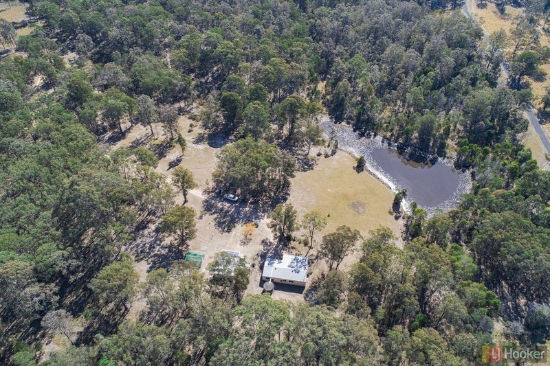 Photo - 1321 Armidale Road, Deep Creek NSW 2440 - Image 20