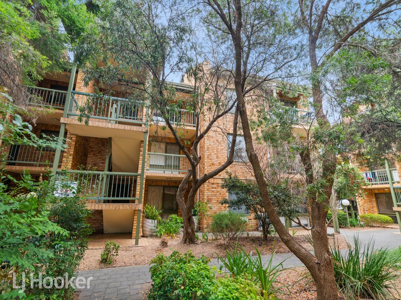 Photo - 13/22 Cambridge Street, North Adelaide SA 5006 - Image 6