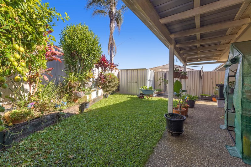 Photo - 1/327 Darlington Drive, Banora Point NSW 2486 - Image 8