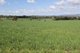 Photo - 1328 Jerangle Road. , Bredbo NSW 2626 - Image 15