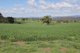 Photo - 1328 Jerangle Road. , Bredbo NSW 2626 - Image 16