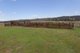 Photo - 1328 Jerangle Road. , Bredbo NSW 2626 - Image 22