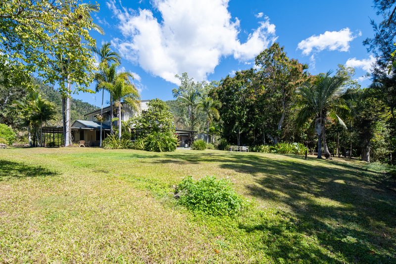 Photo - 133 Brandy Creek Road, Brandy Creek QLD 4800 - Image 26