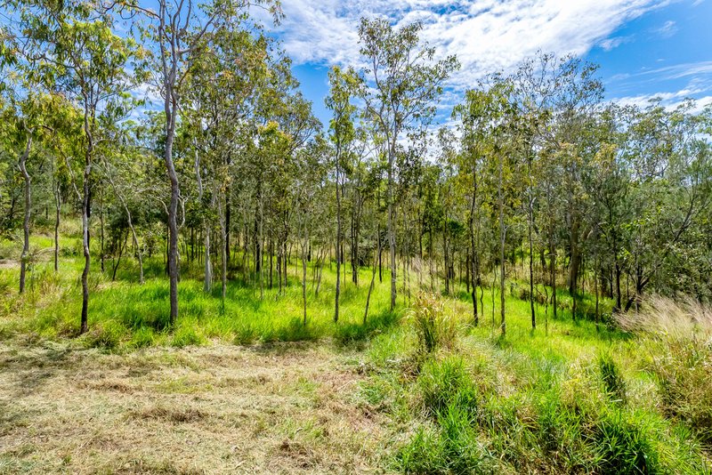 Photo - 133 Cedar Park Road, Koah QLD 4881 - Image 10