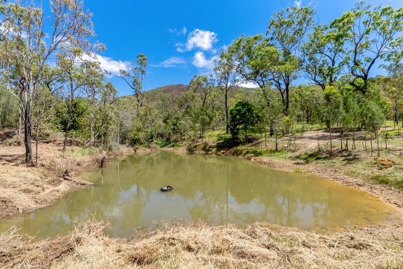 Photo - 133 Cedar Park Road, Koah QLD 4881 - Image 15