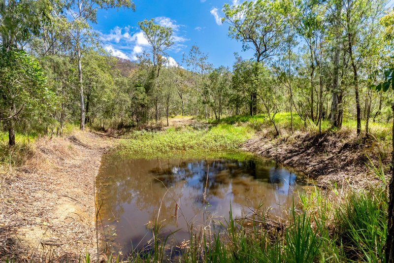 Photo - 133 Cedar Park Road, Koah QLD 4881 - Image 21