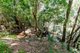 Photo - 133 Cedar Park Road, Koah QLD 4881 - Image 30