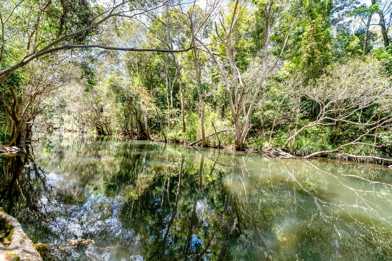 Photo - 133 Cedar Park Road, Koah QLD 4881 - Image 31