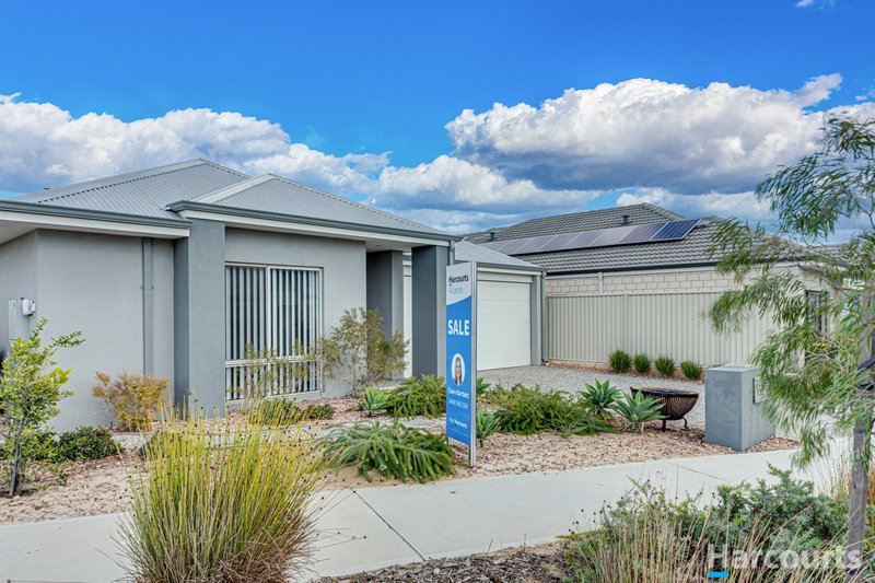 Photo - 133 Hawksbill Drive, Alkimos WA 6038 - Image 2