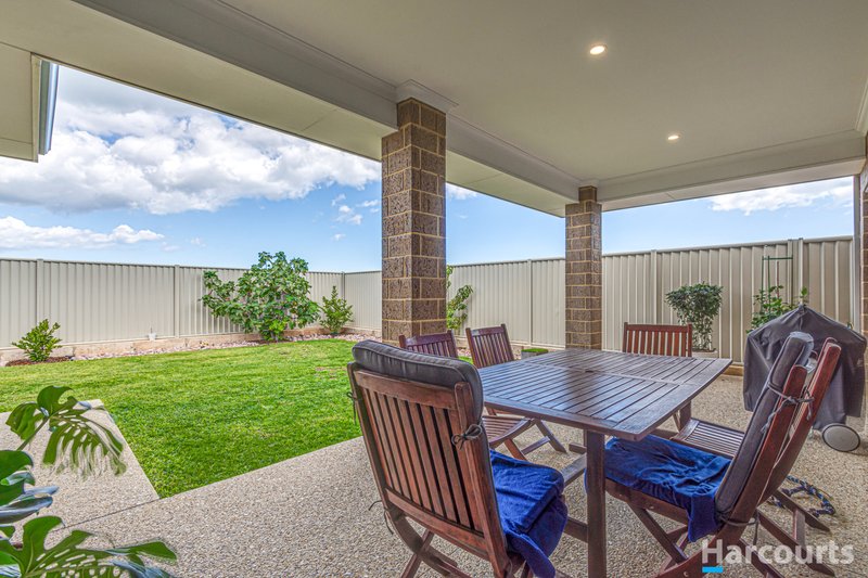 Photo - 133 Hawksbill Drive, Alkimos WA 6038 - Image 14